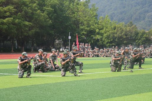 说明: IMG_256 说明: IMG_256
